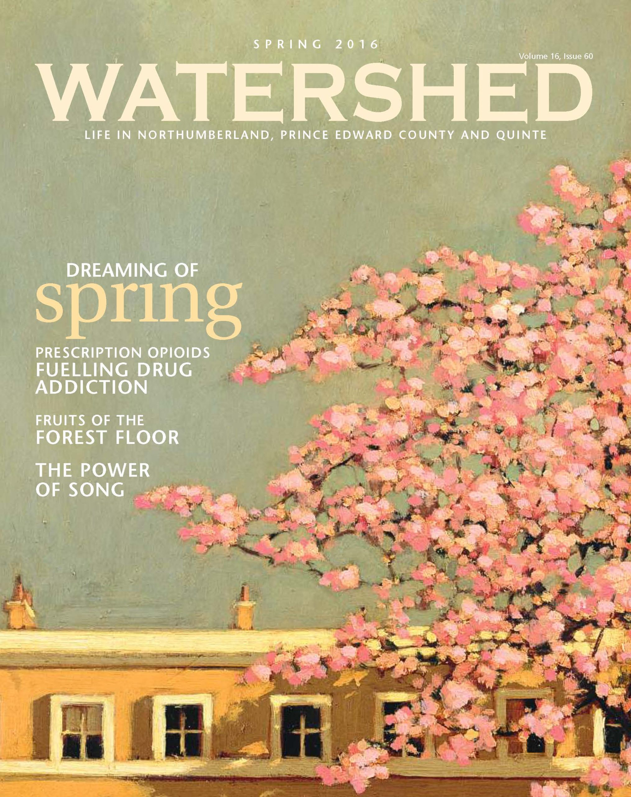 watershedmagazine-Spring2016-web-cover-scaled-1.jpg